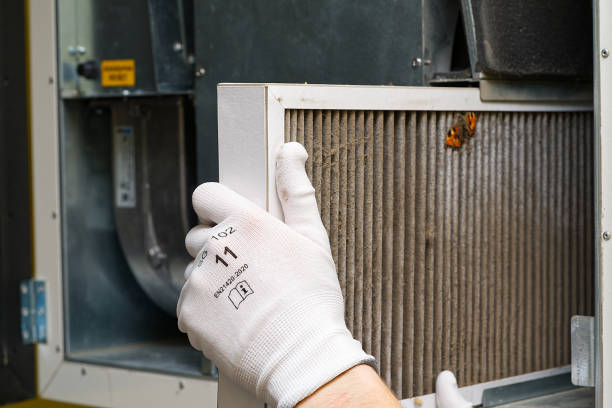 Best General Air Duct Cleaning  in Sho Creek, AL