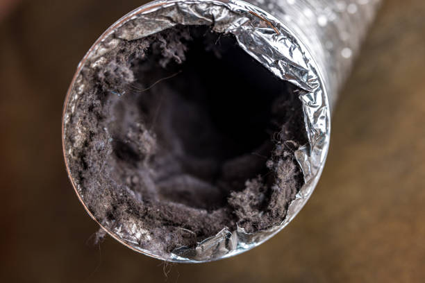 Air Duct Mold Removal in Shoal Creek, AL