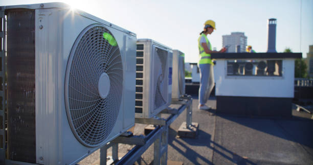 Best Air Duct Mold Removal  in Sho Creek, AL